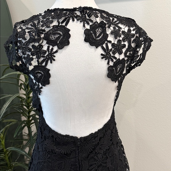 Mi Ami Francesca’s Black Dressy Lined Lace Mini Dress Open Back Fitted NWT M - Picture 8 of 16